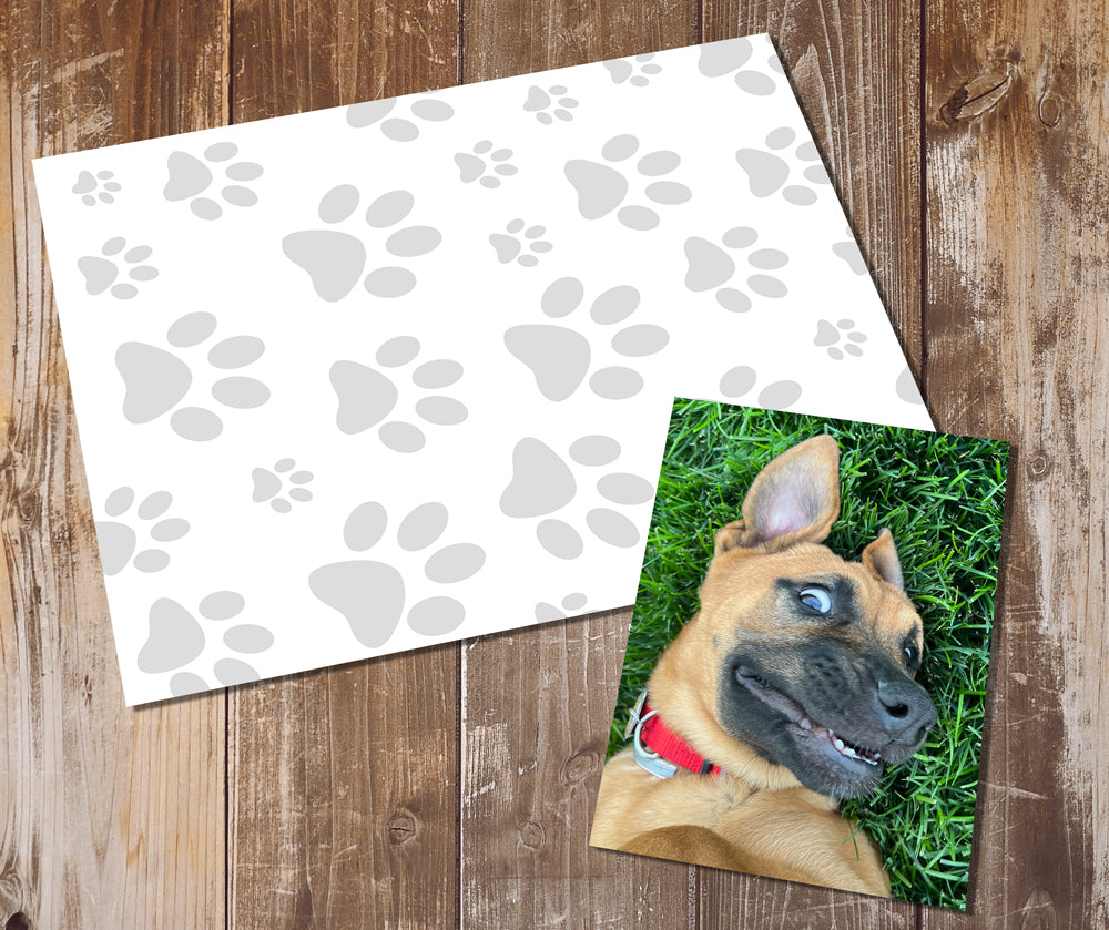 Personalized Photo Greeting Cards