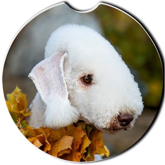 Bedlington Terrier Car Coaster