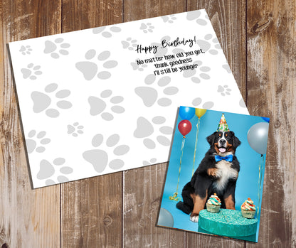 Bernese Mountain Dog Greeting Cards