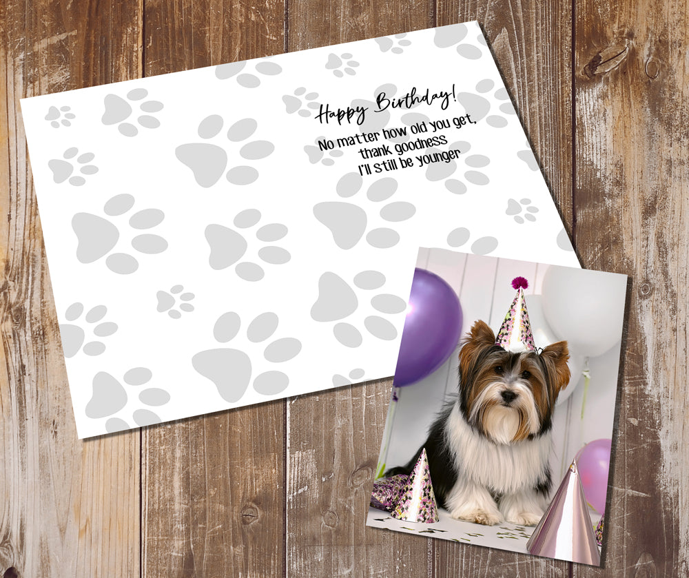 Biewer Terrier Greeting Cards