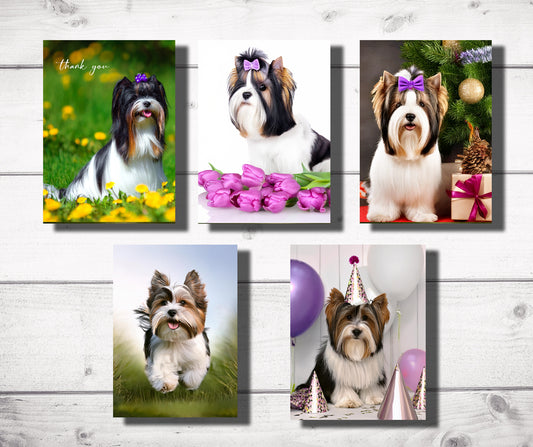 Biewer Terrier Greeting Cards