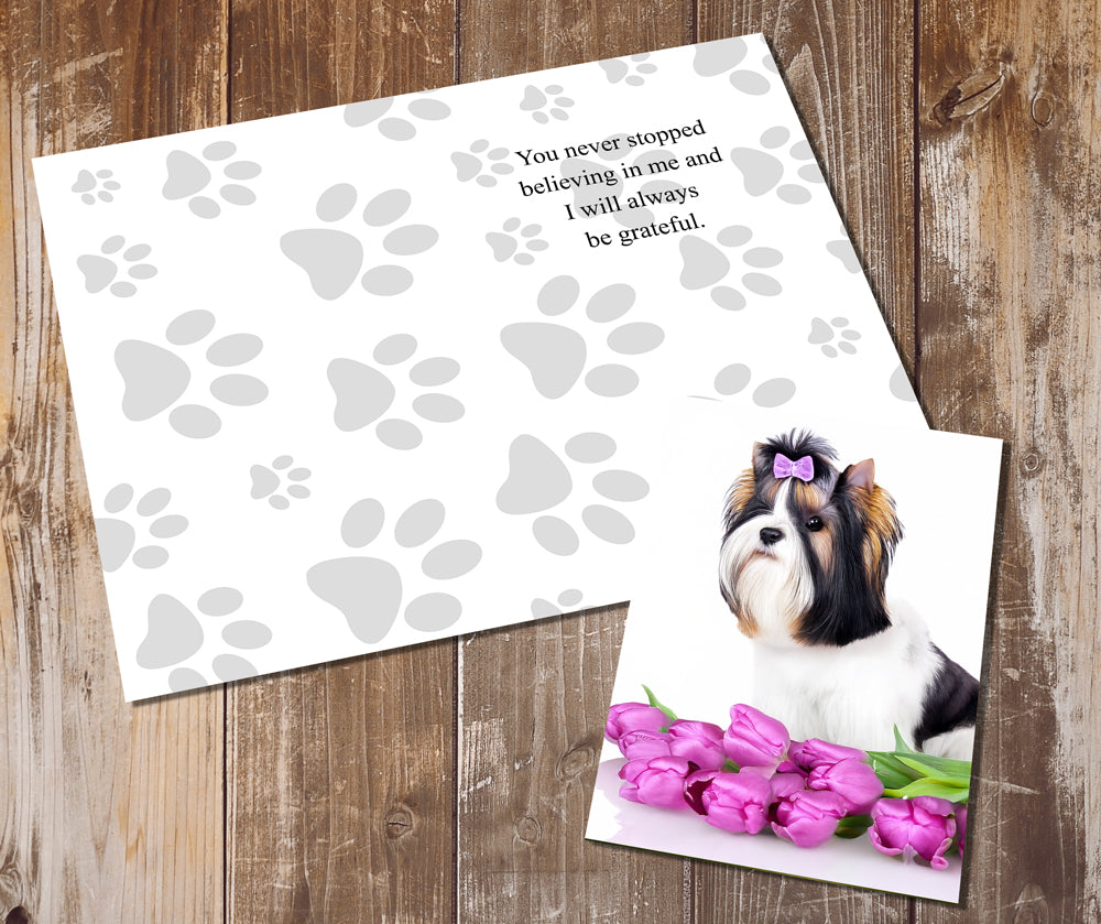 Biewer Terrier Greeting Cards