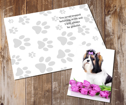 Biewer Terrier Greeting Cards