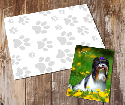 Biewer Terrier Greeting Cards