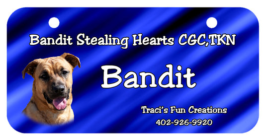 [Unique Home Decor, Ornaments, and Gifts Online]-Traci's Fun Creations