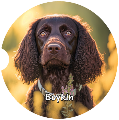 Boykin Car Coaster