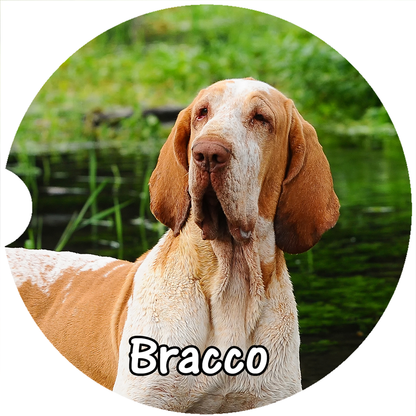 Bracco Italiano Car Coaster
