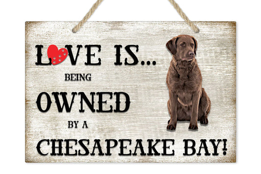[Unique Home Decor, Ornaments, and Gifts Online]-Traci's Fun Creations