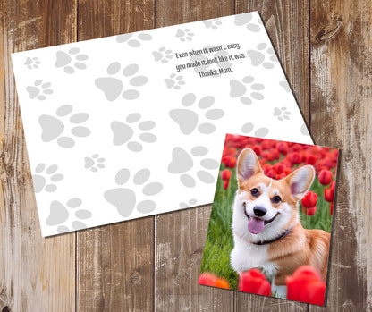 Corgi Greeting Cards