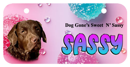 Crate Name Tag
