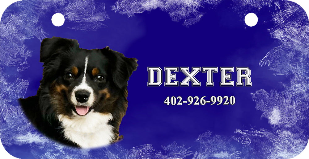 Personalized Dog Crate ID Tag