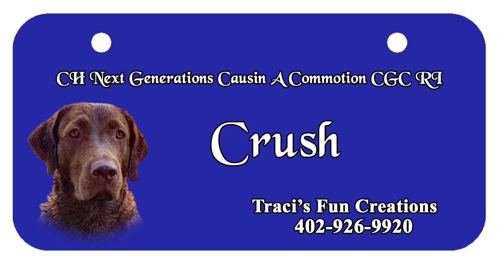Personalized Dog Crate ID Tag