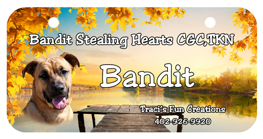 [Unique Home Decor, Ornaments, and Gifts Online]-Traci's Fun Creations