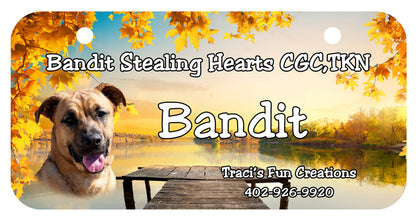 [Unique Home Decor, Ornaments, and Gifts Online]-Traci's Fun Creations