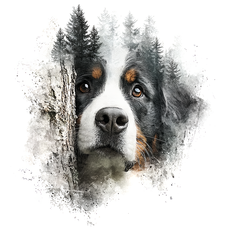 Bernese Mountain Dog Car Coaster