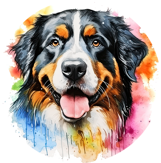 Bernese Mountain Dog Car Coaster
