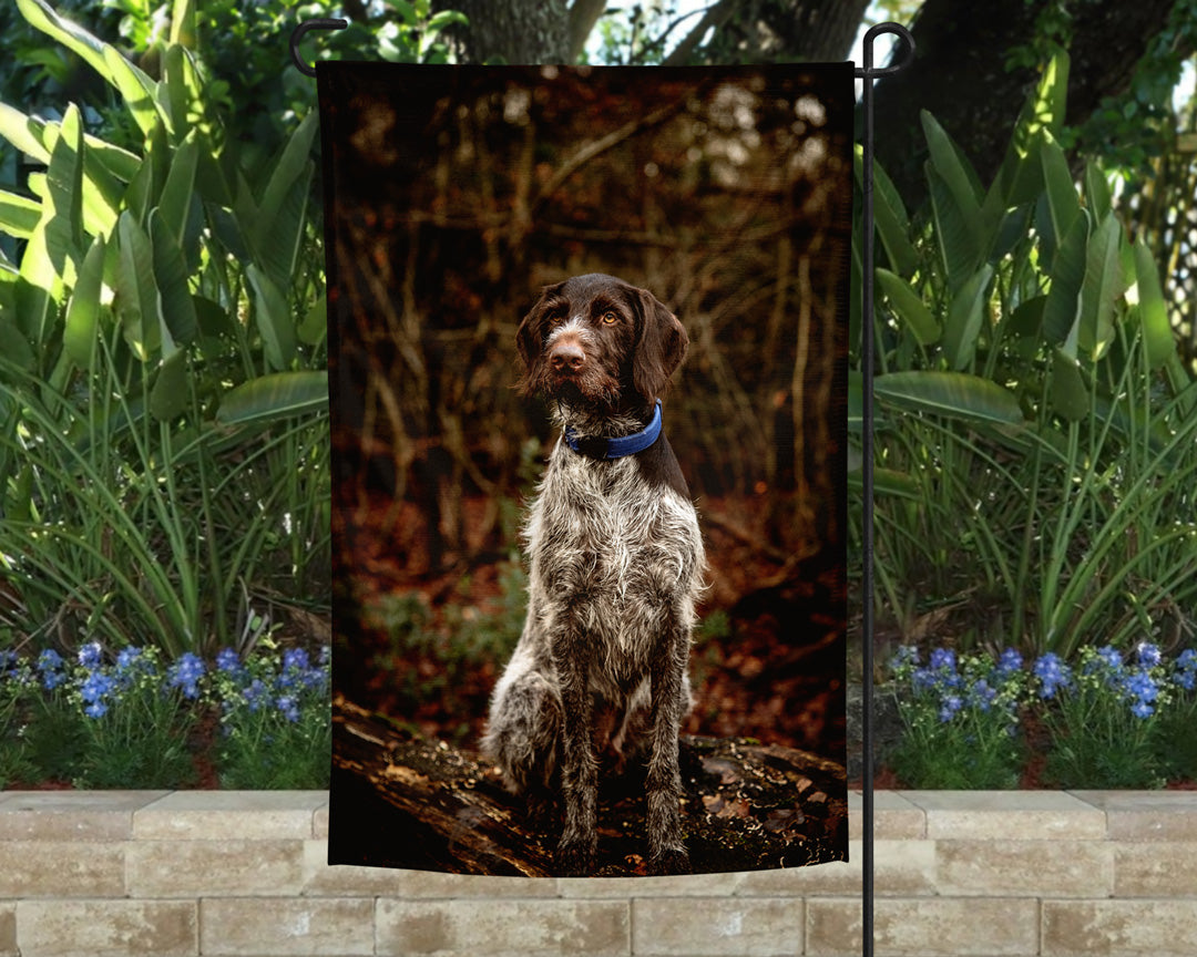 German Wirehaired Pointer Garden Flag