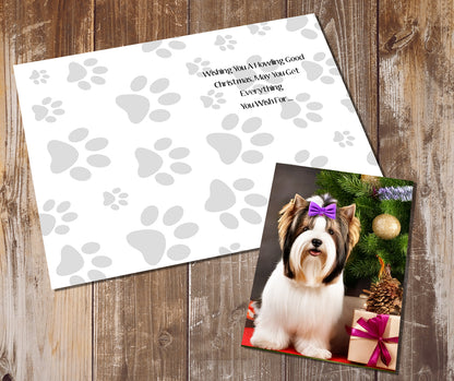 Biewer Terrier Greeting Cards