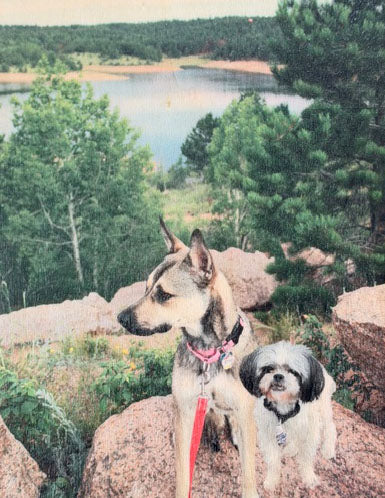 Personalized Photo Wood Canvas