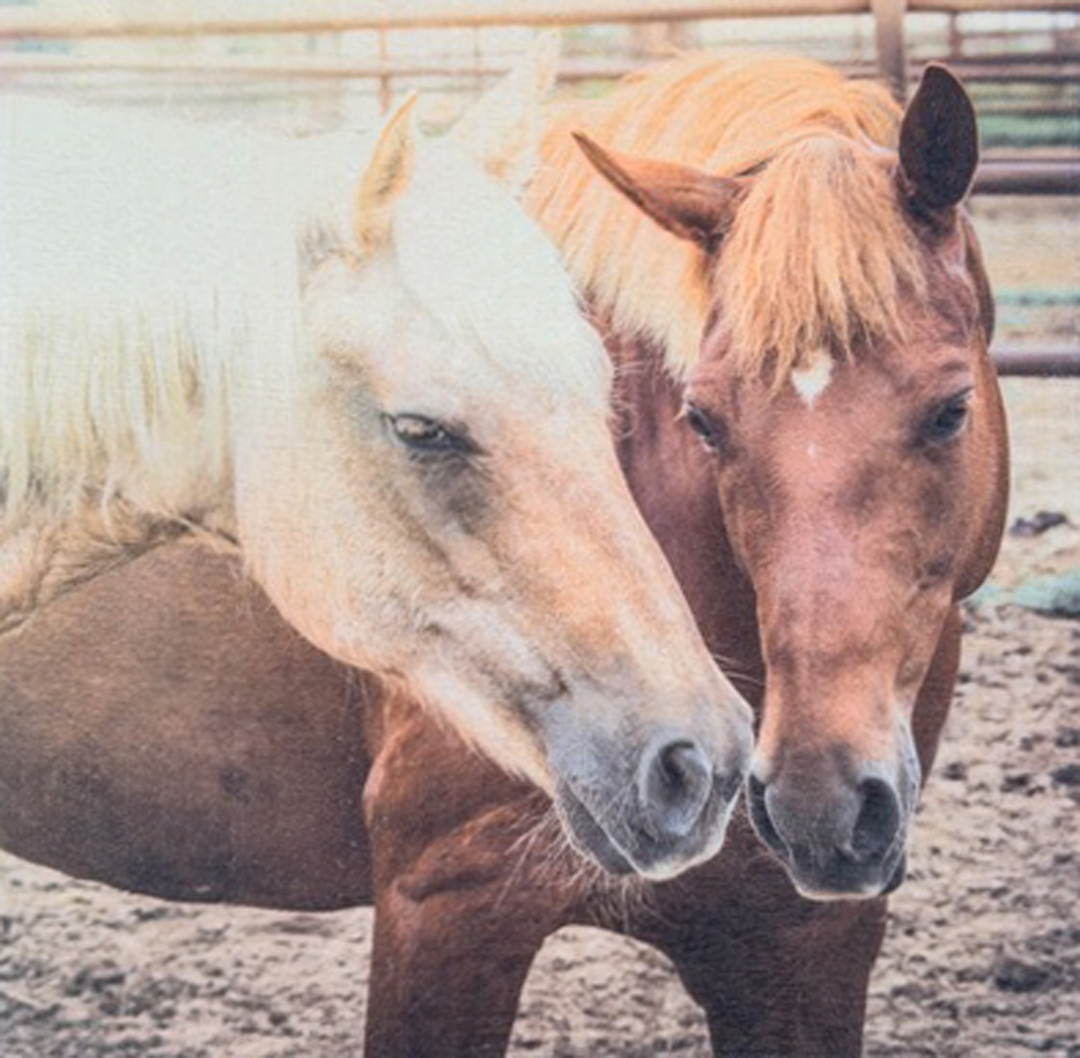 Personalized Photo Wood Canvas