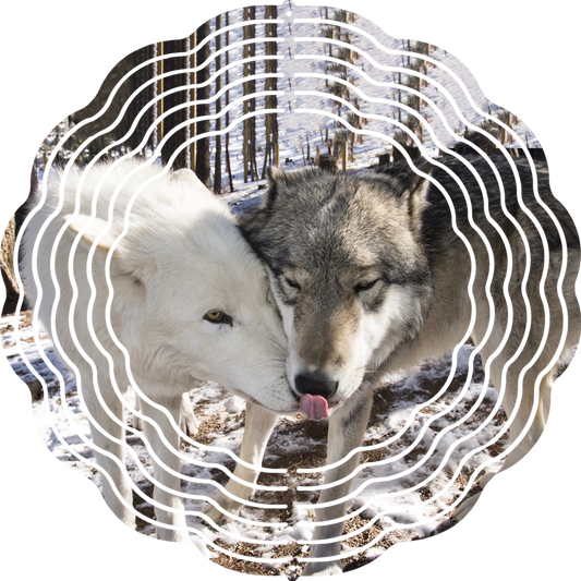 CWWC-Isha & Orenda Windspinner