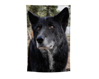 CWWC-Katniss Garden Flag