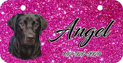 Personalized Dog Crate ID Tag