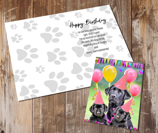 Labrador Greeting Cards