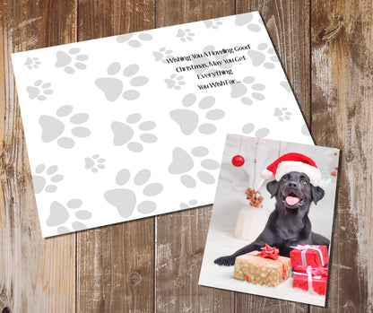 Labrador Greeting Cards