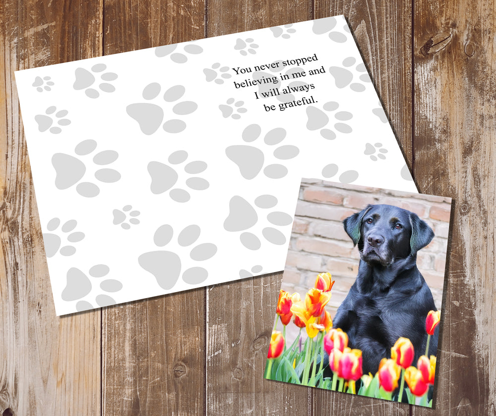 Labrador Greeting Cards