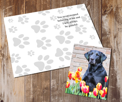 Labrador Greeting Cards