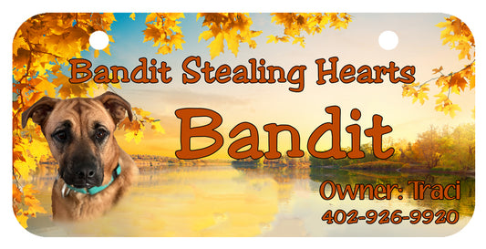 [Unique Home Decor, Ornaments, and Gifts Online]-Traci's Fun Creations