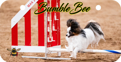 Personalized Dog Crate ID Tag