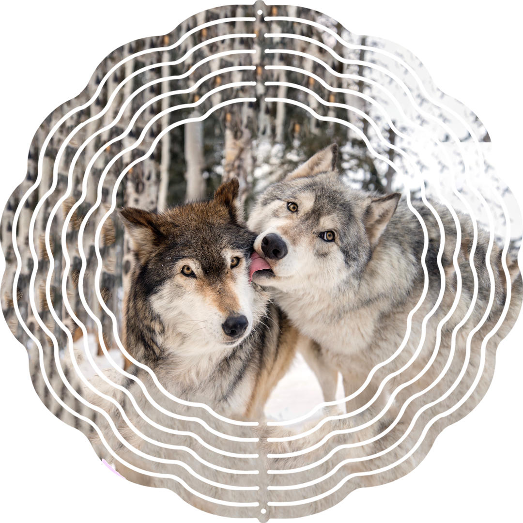 CWWC-Micah & Keara Windspinner