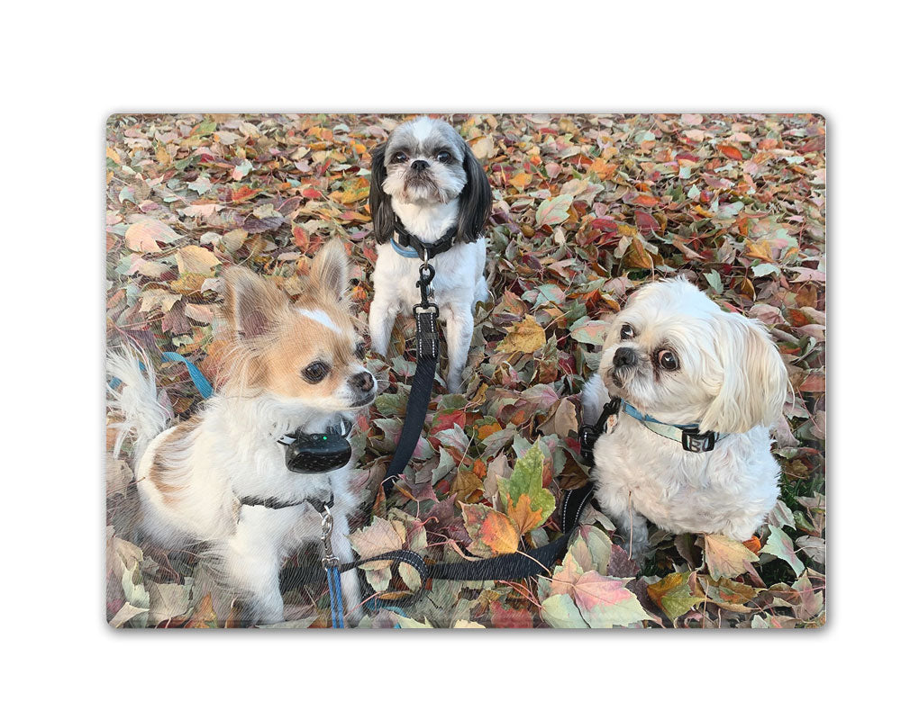 [Unique Home Decor, Ornaments, and Gifts Online]-Traci's Fun Creations