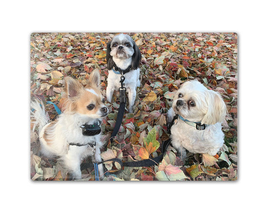 [Unique Home Decor, Ornaments, and Gifts Online]-Traci's Fun Creations
