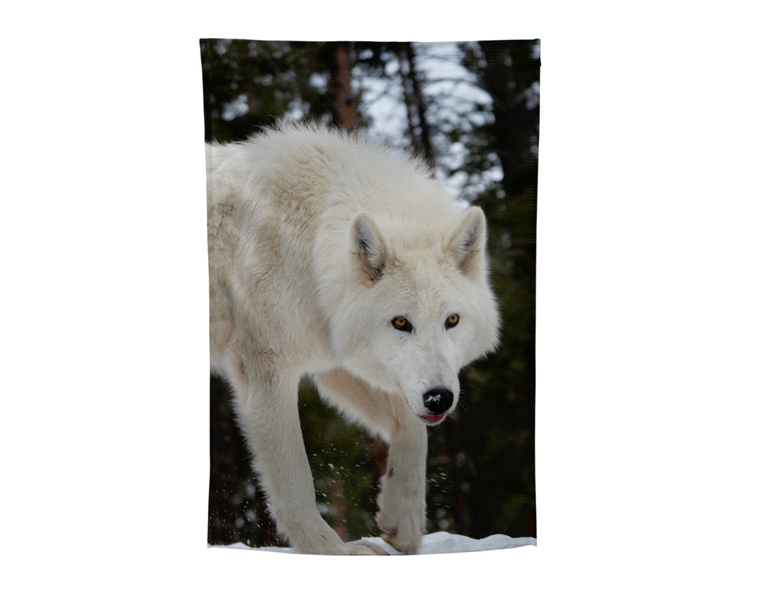 CWWC-Raksha Garden Flag