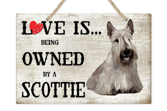 [Unique Home Decor, Ornaments, and Gifts Online]-Traci's Fun Creations