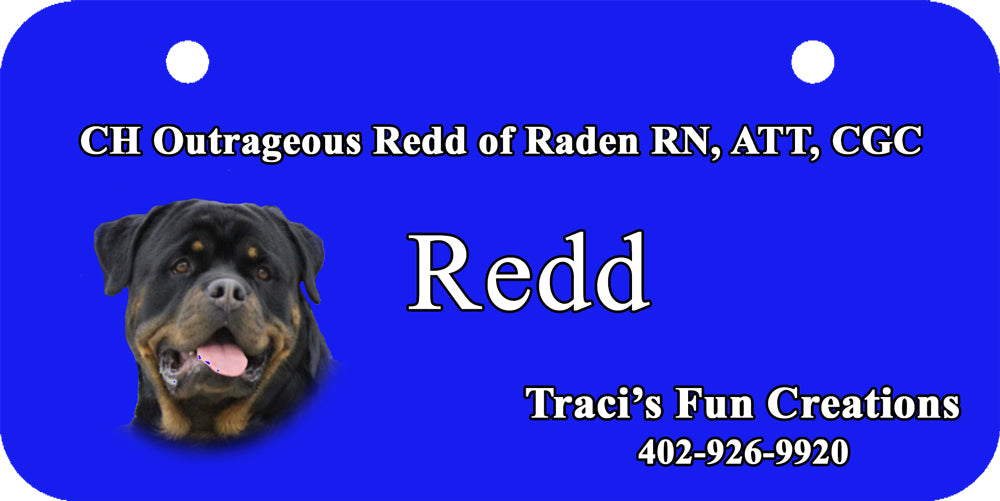 Personalized Dog Crate ID Tag