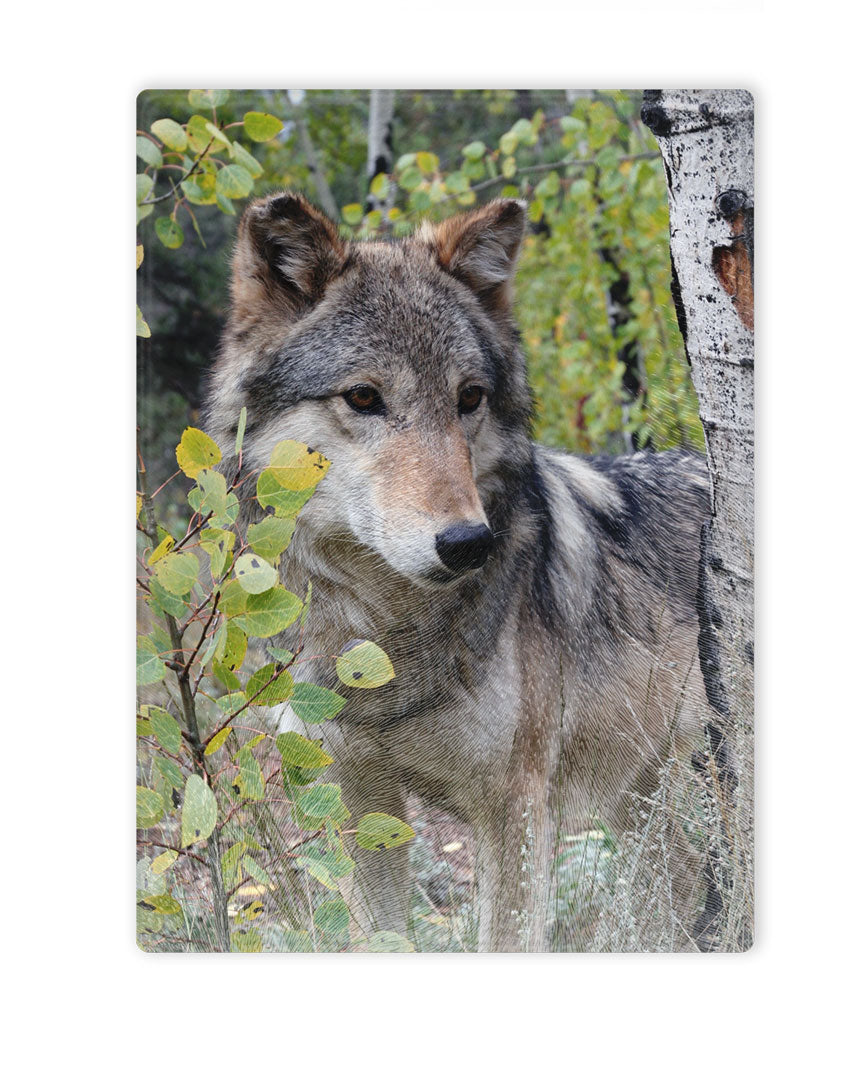 CWWC-Tala Cutting Board