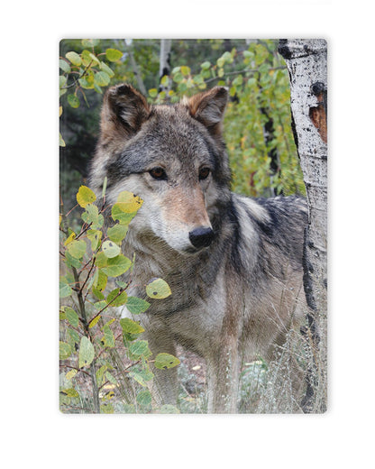 CWWC-Tala Cutting Board