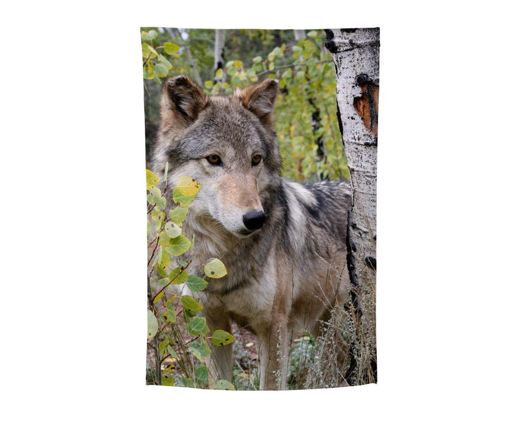 CWWC-Tala Garden Flag