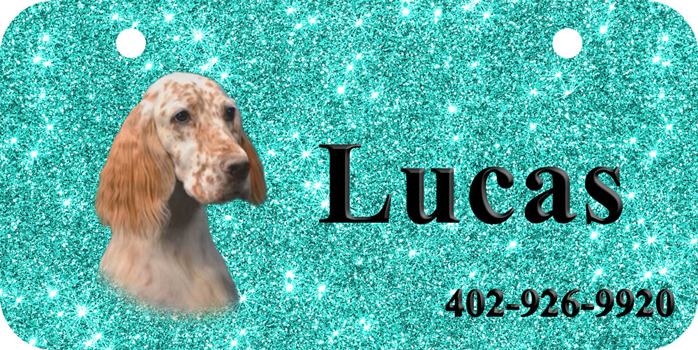 Personalized Dog Crate ID Tag