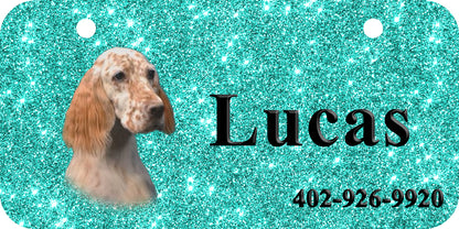 Personalized Dog Crate ID Tag