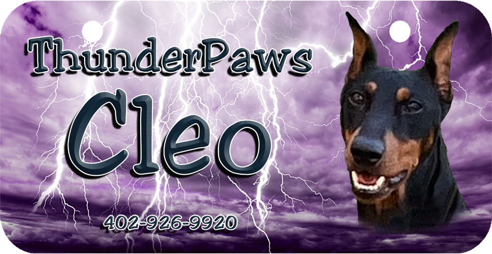 Personalized Dog Crate ID Tag