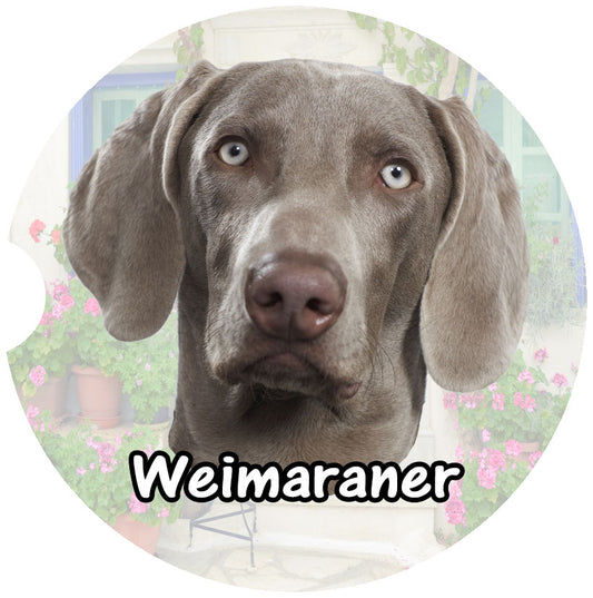 Weimaraner Car Coaster