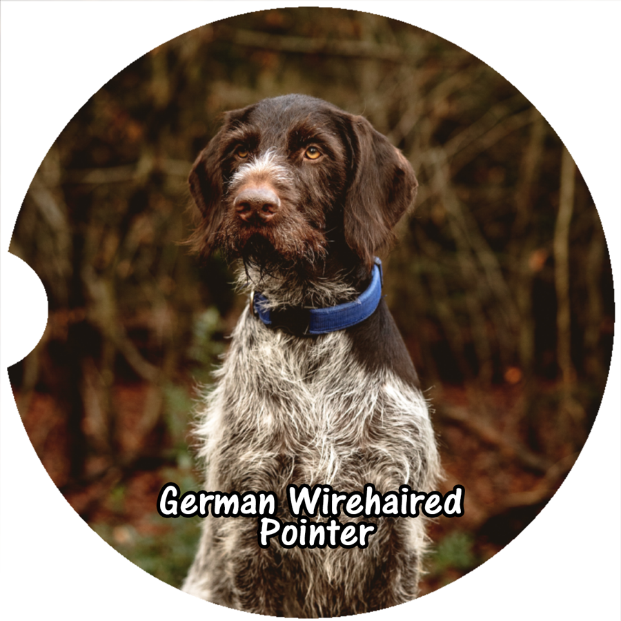 German Wirehaired Pointer Car Coaster