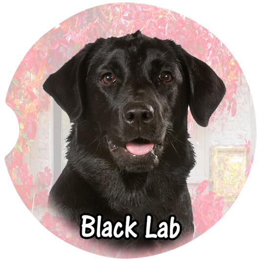 [Unique Home Decor, Ornaments, and Gifts Online]-Traci's Fun Creations