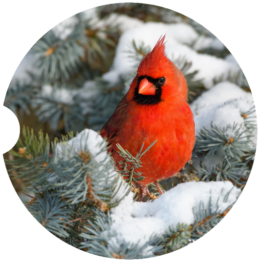 [Unique Home Decor, Ornaments, and Gifts Online]-Traci's Fun Creations