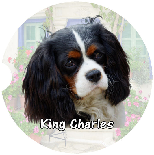 [Unique Home Decor, Ornaments, and Gifts Online]-Traci's Fun Creations
